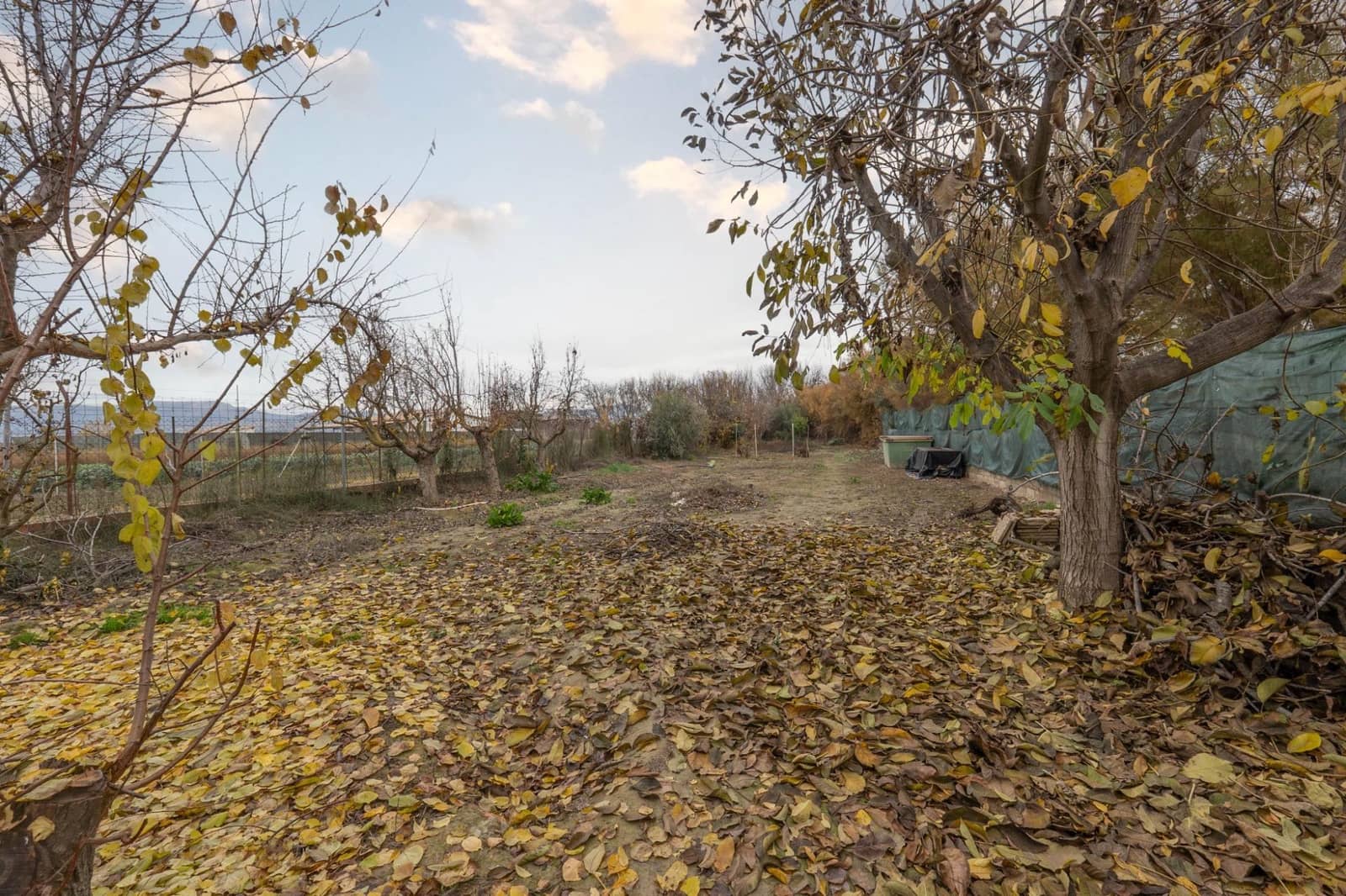 Terreno Não Urbanizado para venda em Chauchina - 55 000 € (Ref: 9674902)