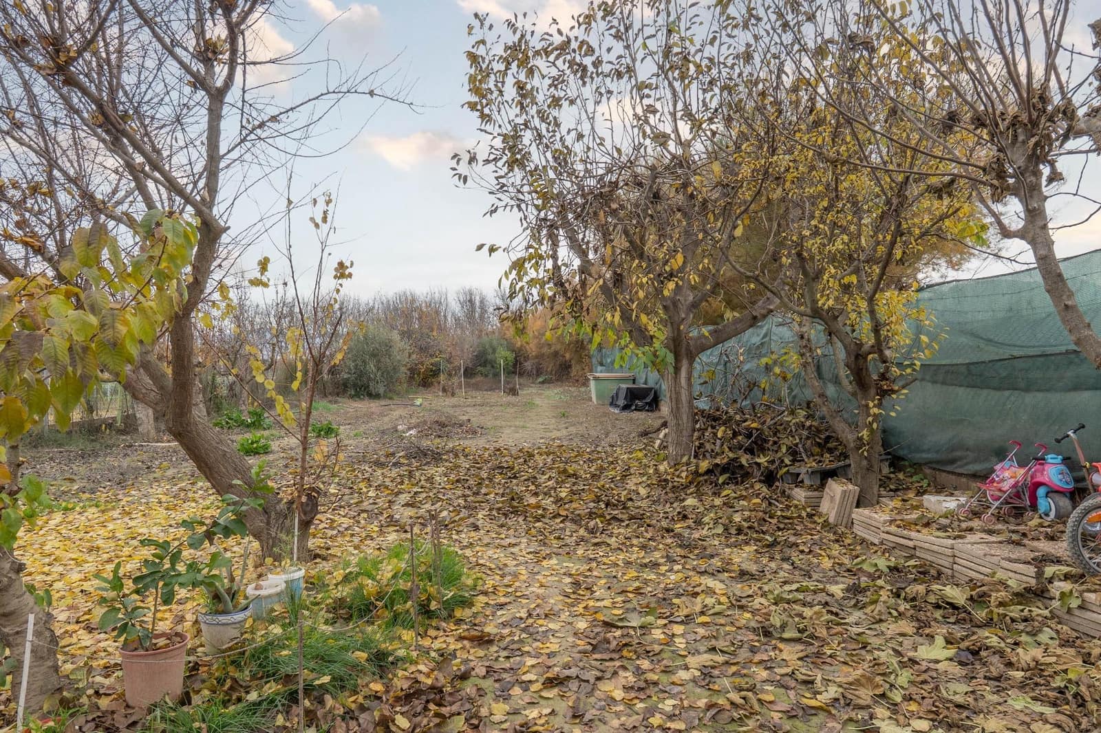 Terreno Não Urbanizado para venda em Chauchina - 55 000 € (Ref: 9674902)