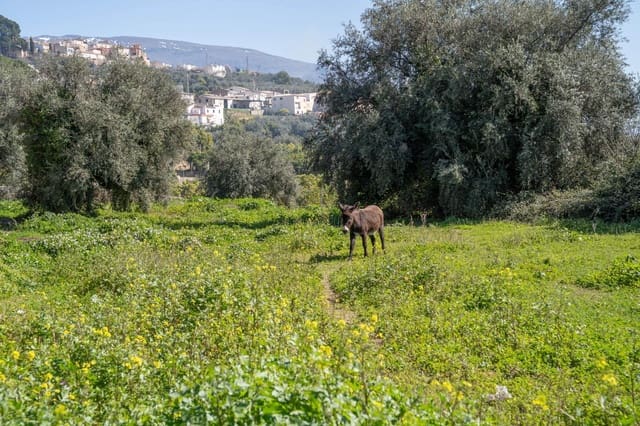 Finca/Casa Rural de 5 habitaciones en Albuñuelas en venta - 82.000 € (Ref: 9674906)