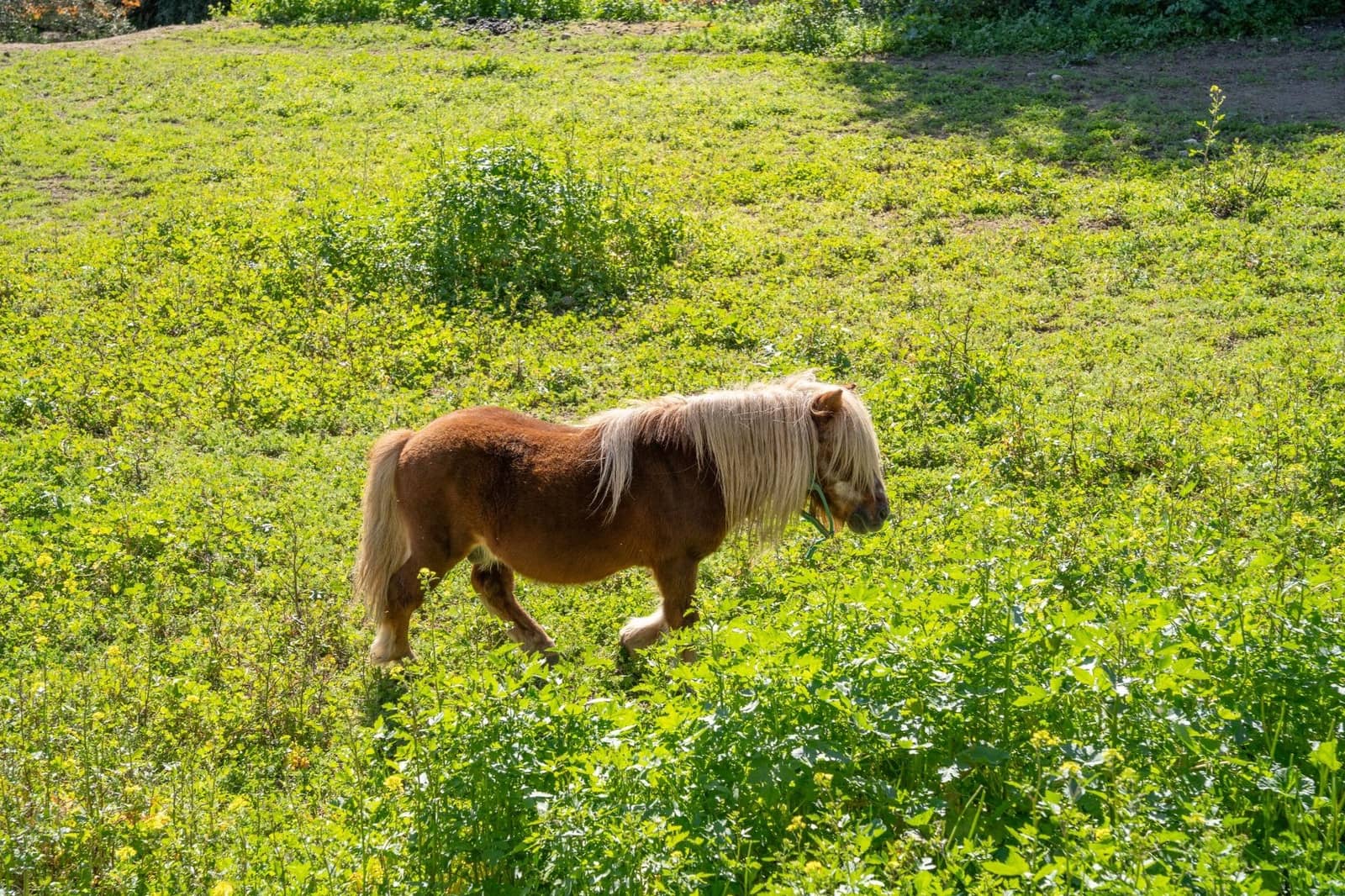 Finca/Casa Rural de 5 habitaciones en Albuñuelas en venta - 82.000 € (Ref: 9674906)