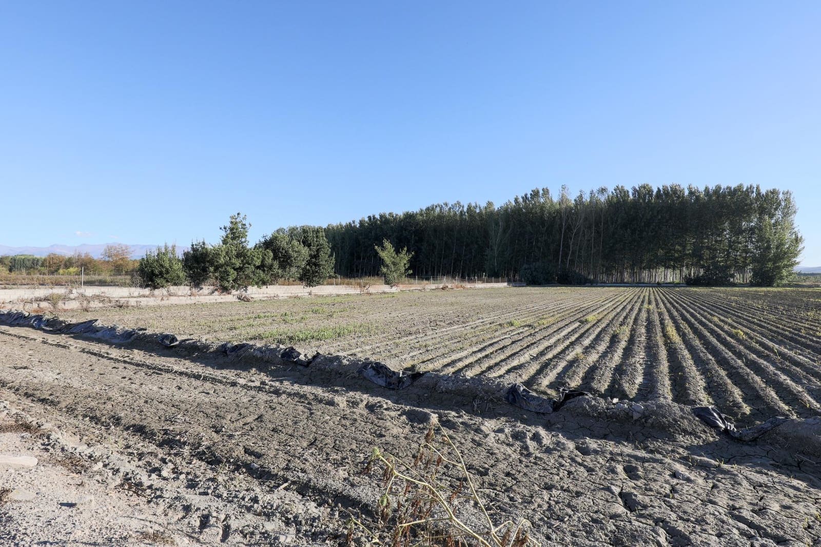 4 Zimmer Finca/Landgut zu verkaufen in Fuente Vaqueros - 349.000 € (Ref: 9674954)