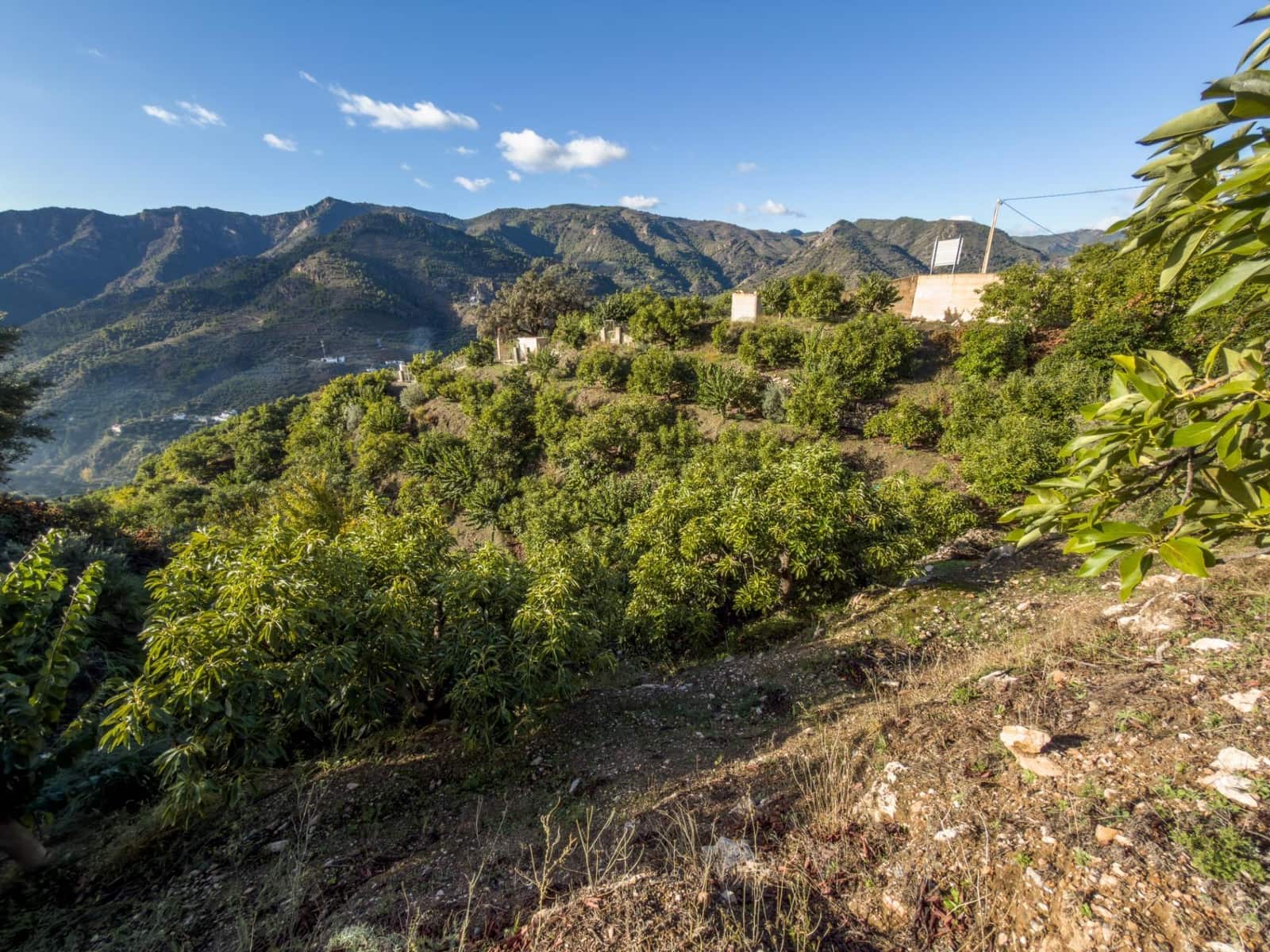 1 bedroom Finca/Country House for sale in Los Guajares with garage - € 89,900 (Ref: 9674979)