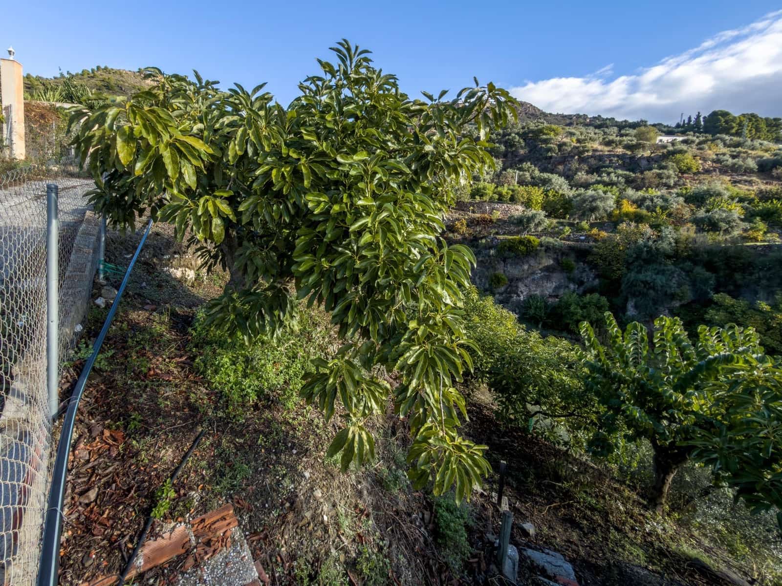 1 bedroom Finca/Country House for sale in Los Guajares with garage - € 89,900 (Ref: 9674979)