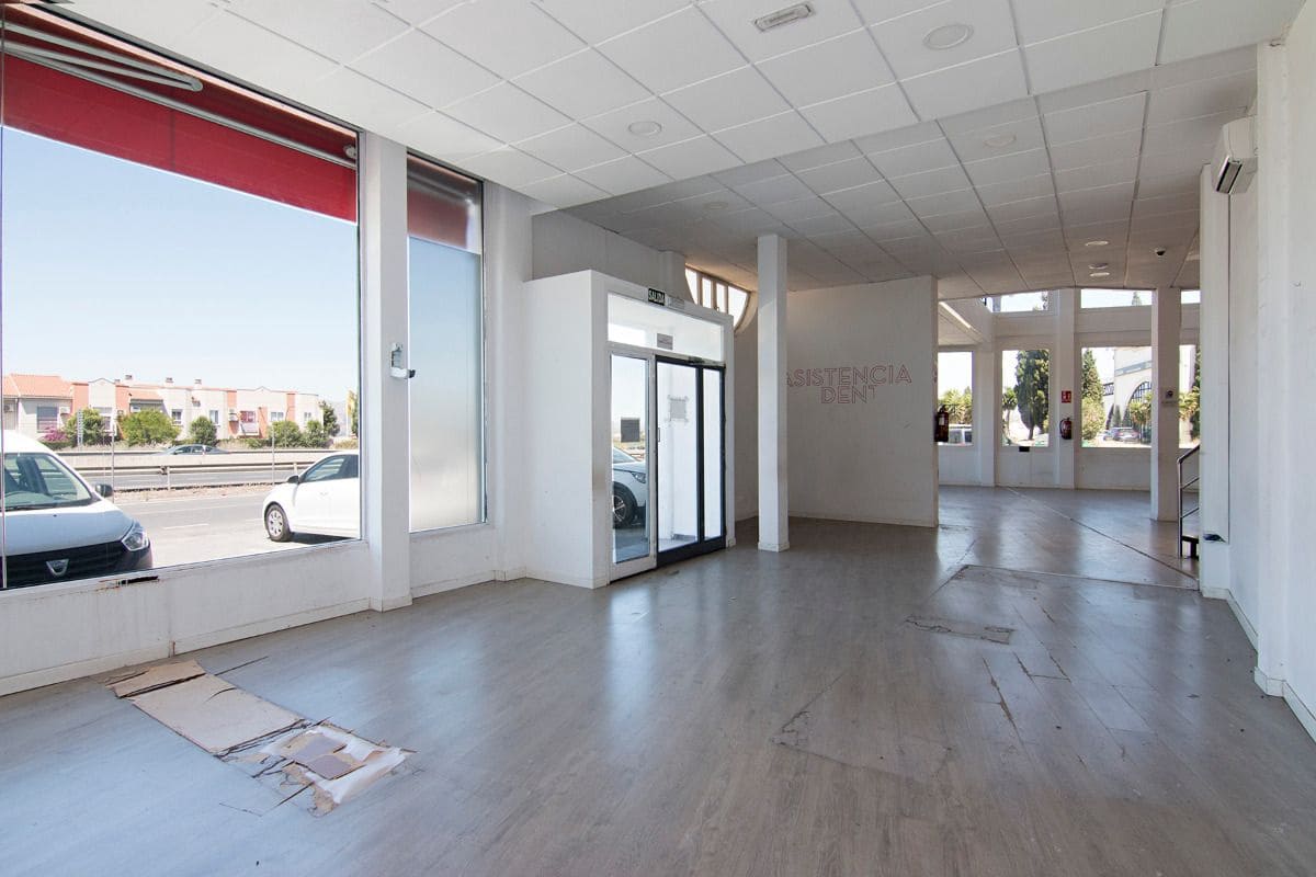 Business for sale in Pulianas with garage - € 1,200,000 (Ref: 9675001)