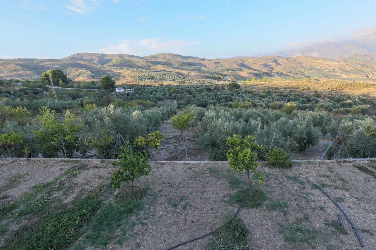 Finca/Casa Rural de 3 habitaciones en Albuñuelas en venta con garaje - 339.000 € (Ref: 9675002)