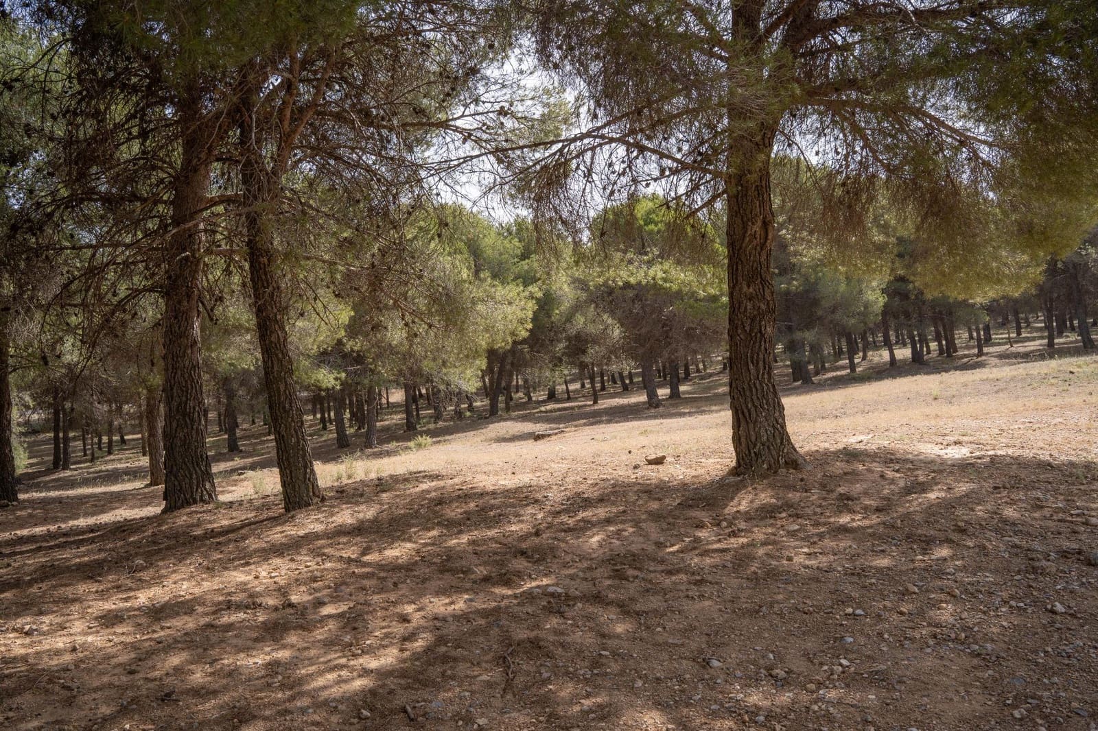 3 bedroom Villa for sale in La Zubia with pool garage - € 350,000 (Ref: 9675026)