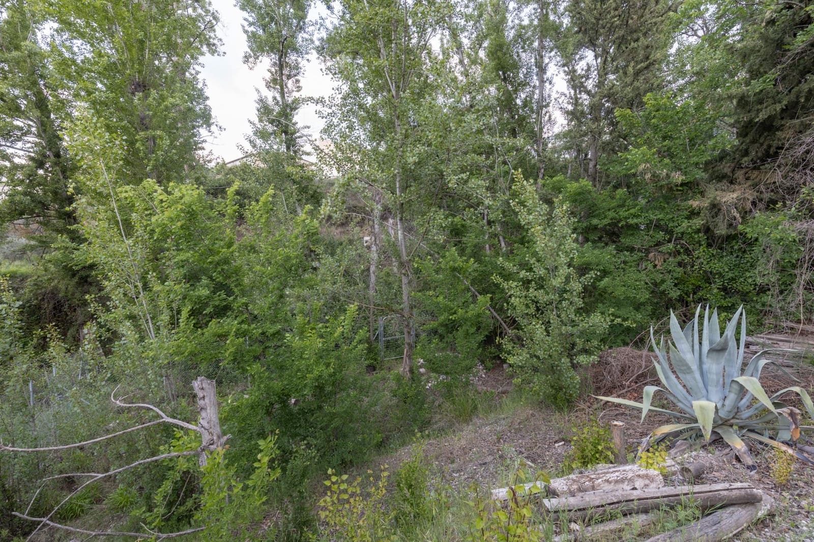 4 makuuhuone Maalaistalo myytävänä paikassa Alfacar mukana uima-altaan 
autotalli - 360 000 € (Ref: 9675029)