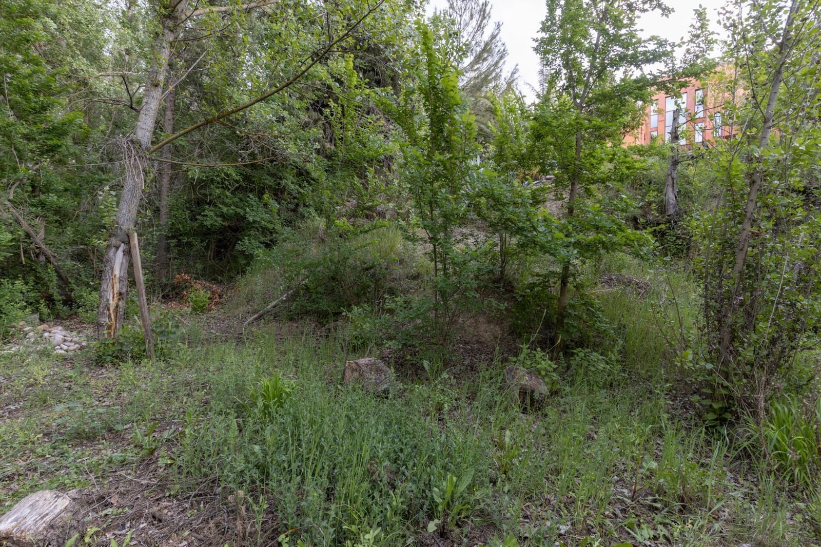 4 makuuhuone Maalaistalo myytävänä paikassa Alfacar mukana uima-altaan 
autotalli - 360 000 € (Ref: 9675029)