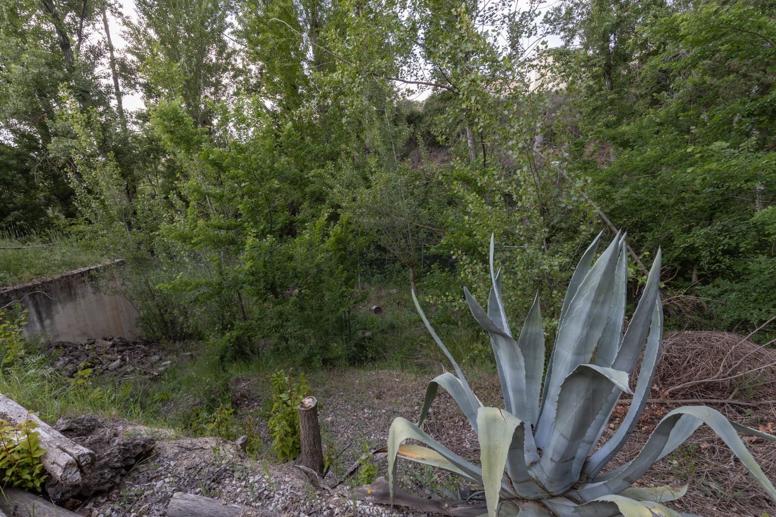 4 makuuhuone Maalaistalo myytävänä paikassa Alfacar mukana uima-altaan 
autotalli - 360 000 € (Ref: 9675029)