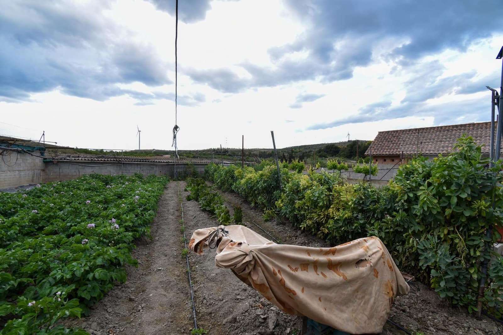 Finca/Casa Rural de 3 habitaciones en Padul en venta con garaje - 250.000 € (Ref: 9675030)