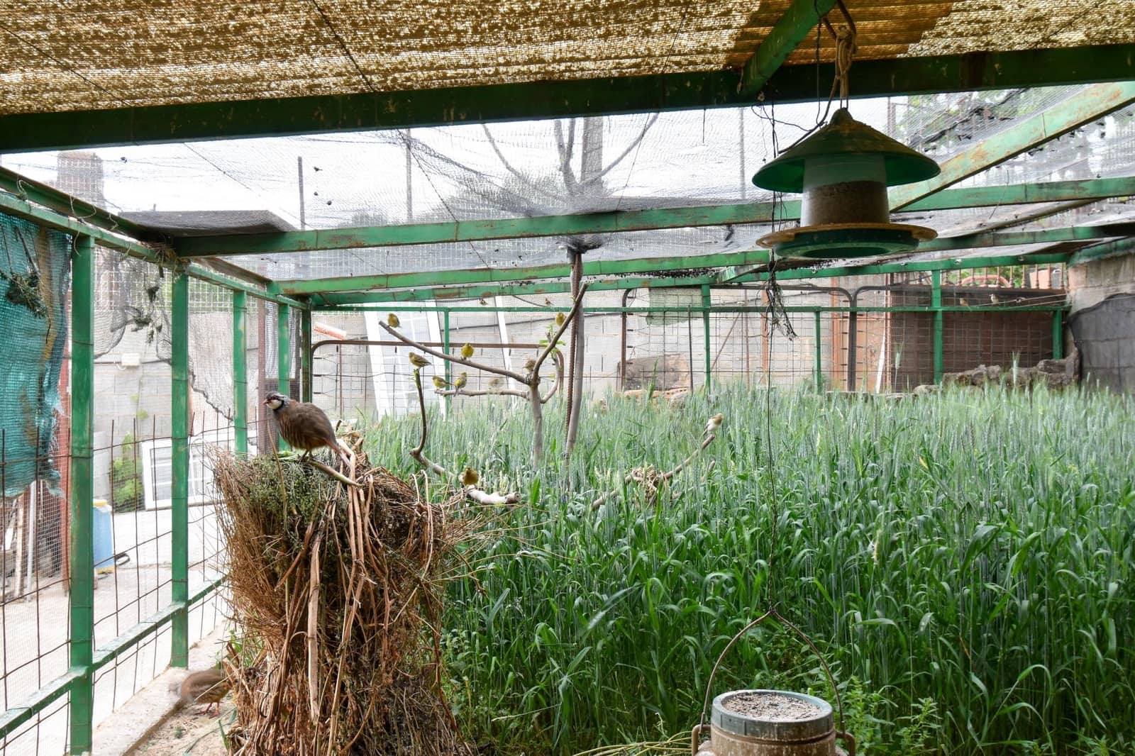 Finca/Casa Rural de 3 habitaciones en Padul en venta con garaje - 250.000 € (Ref: 9675030)