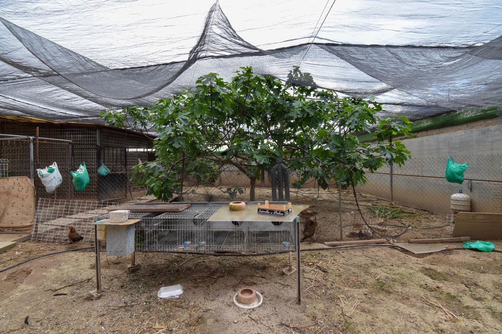 Finca/Casa Rural de 3 habitaciones en Padul en venta con garaje - 250.000 € (Ref: 9675030)