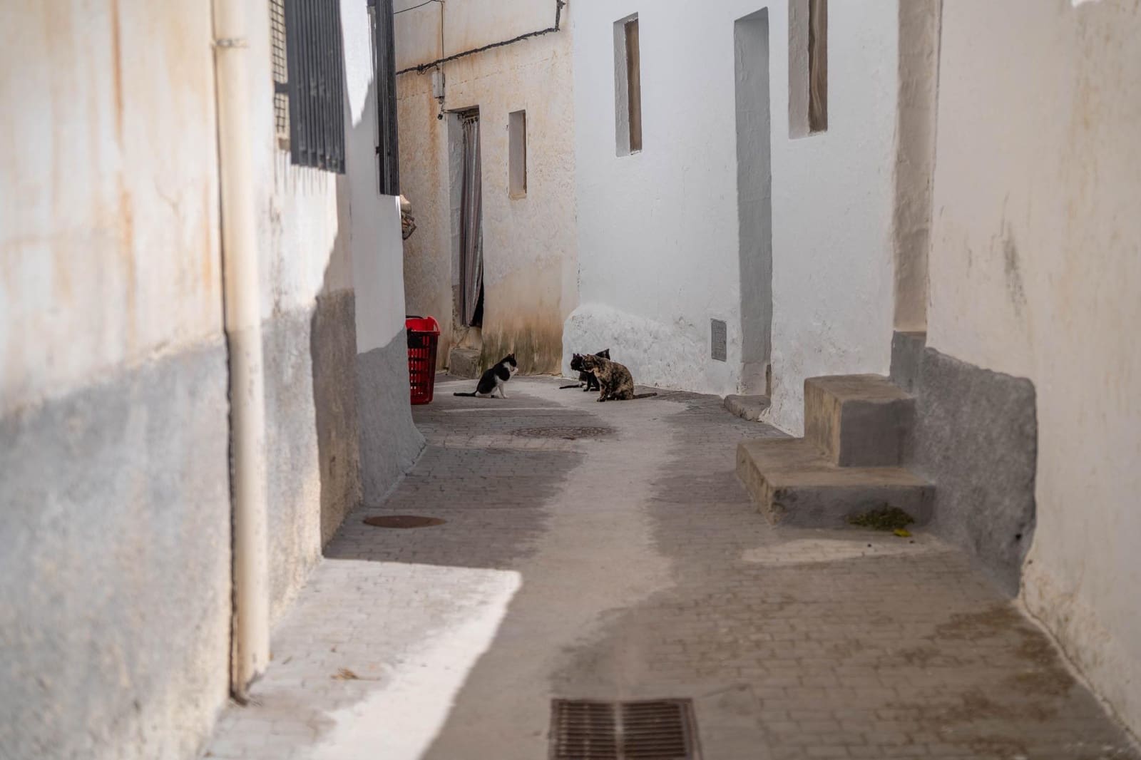 4 bedroom Finca/Country House for sale in Albunuelas - € 47,000 (Ref: 9712217)