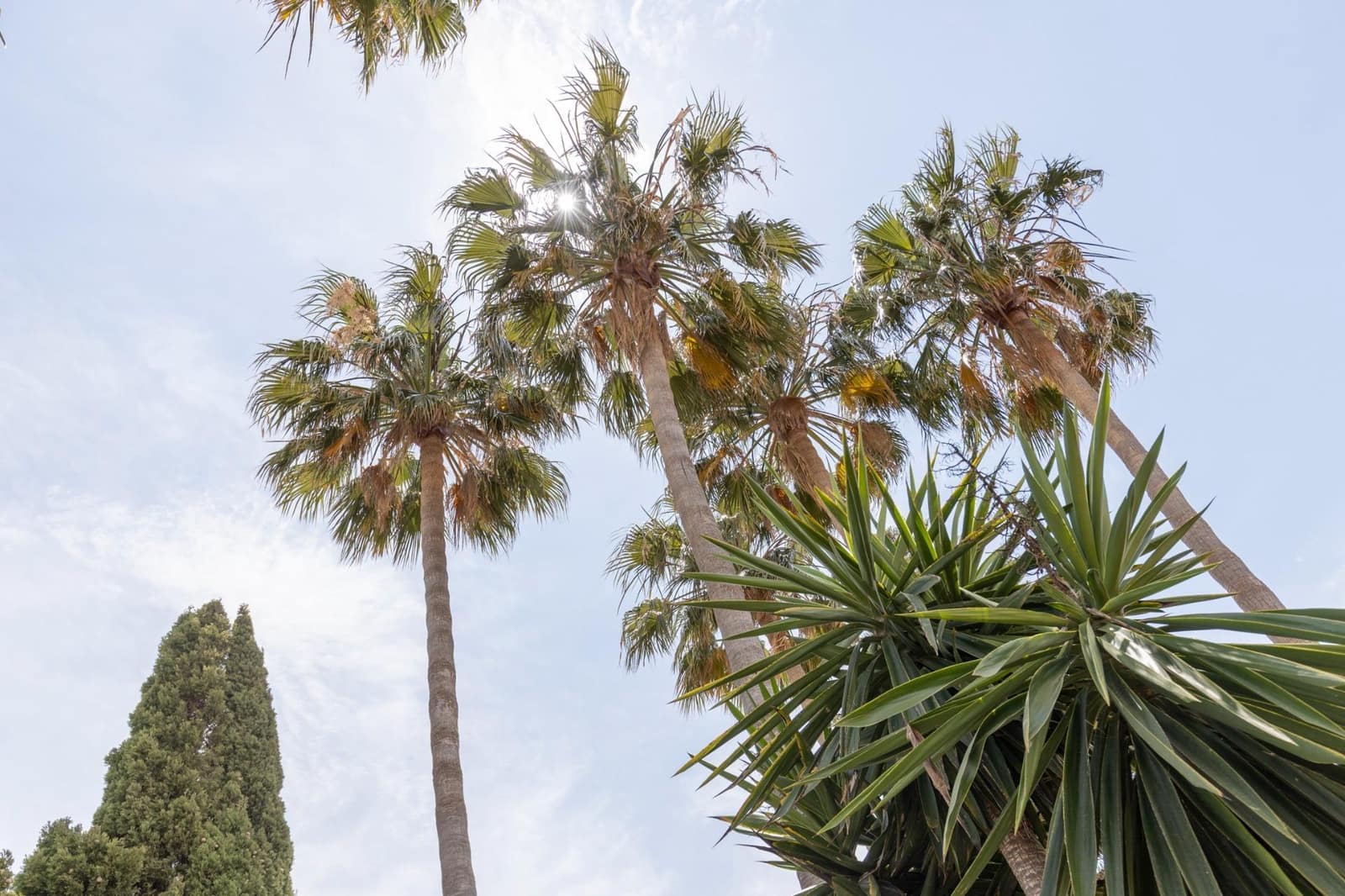 4 chambre Villa/Maison à vendre à Motril avec piscine garage - 595 000 € (Ref: 9759181)