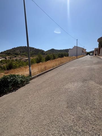 Terre non Aménagée à vendre à Pliego - 92 000 € (Ref: 10015152)