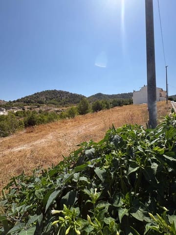 Terre non Aménagée à vendre à Pliego - 92 000 € (Ref: 10015152)