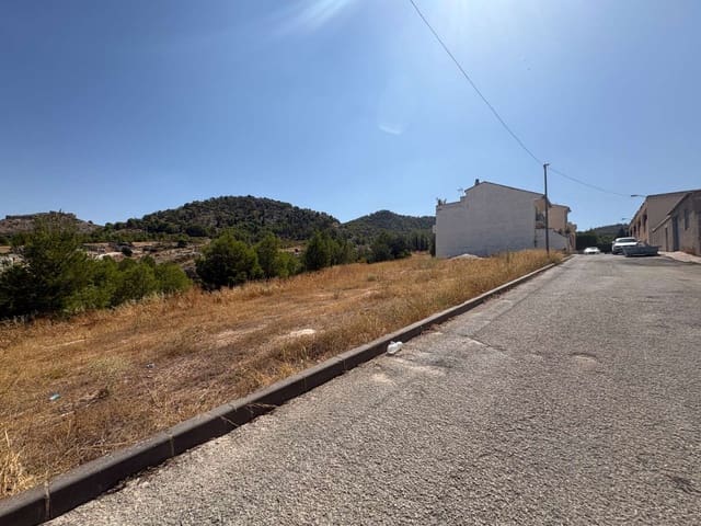 Terre non Aménagée à vendre à Pliego - 92 000 € (Ref: 10015152)