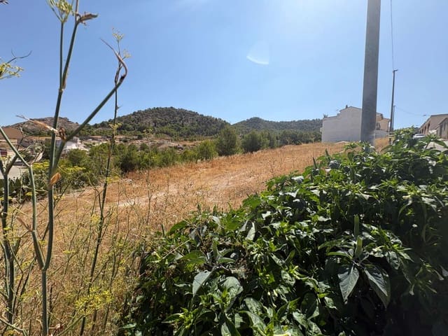 Terre non Aménagée à vendre à Pliego - 92 000 € (Ref: 10015152)