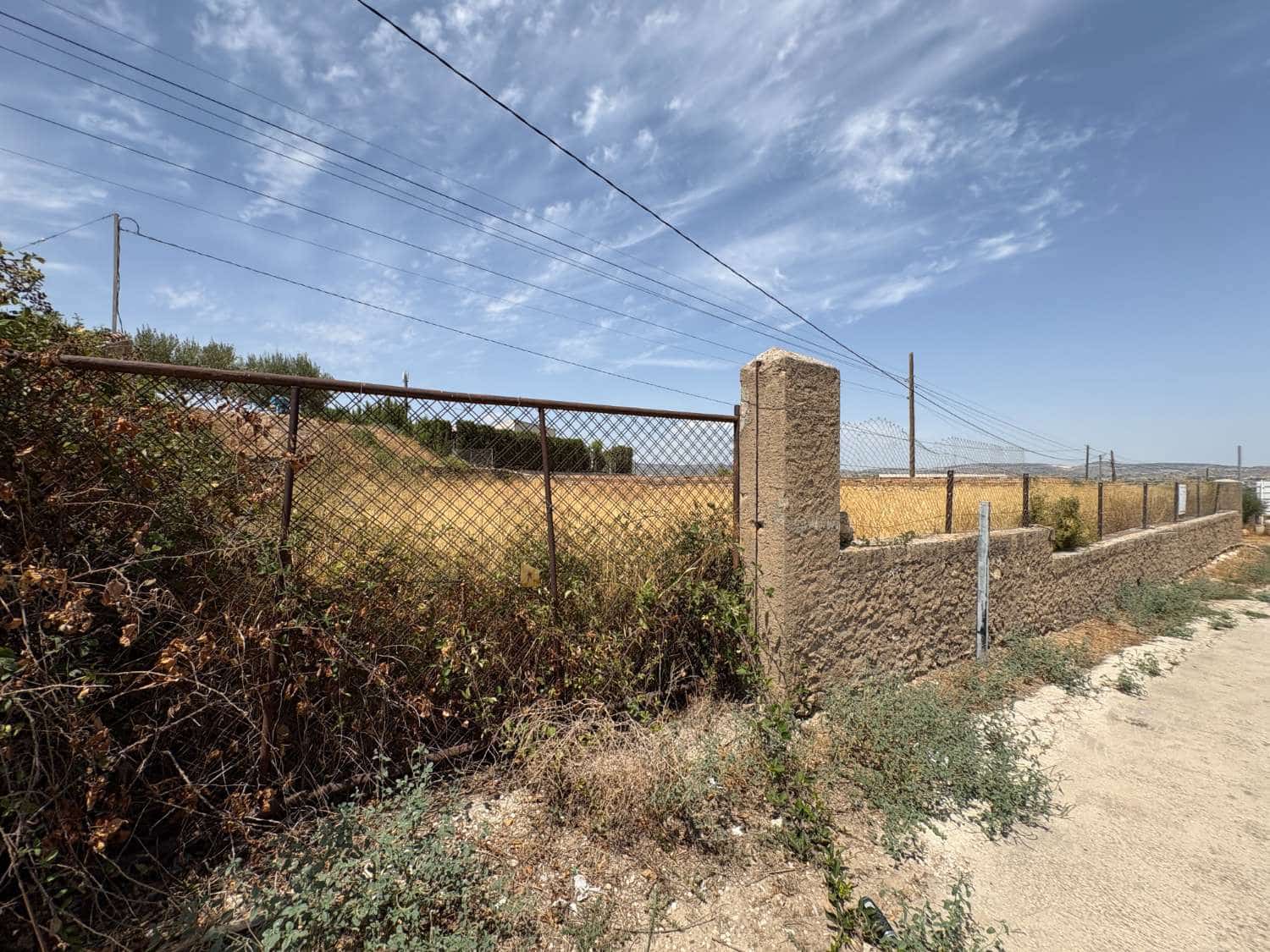 Negocio en Pliego en venta - 80.000 € (Ref: 10026913)