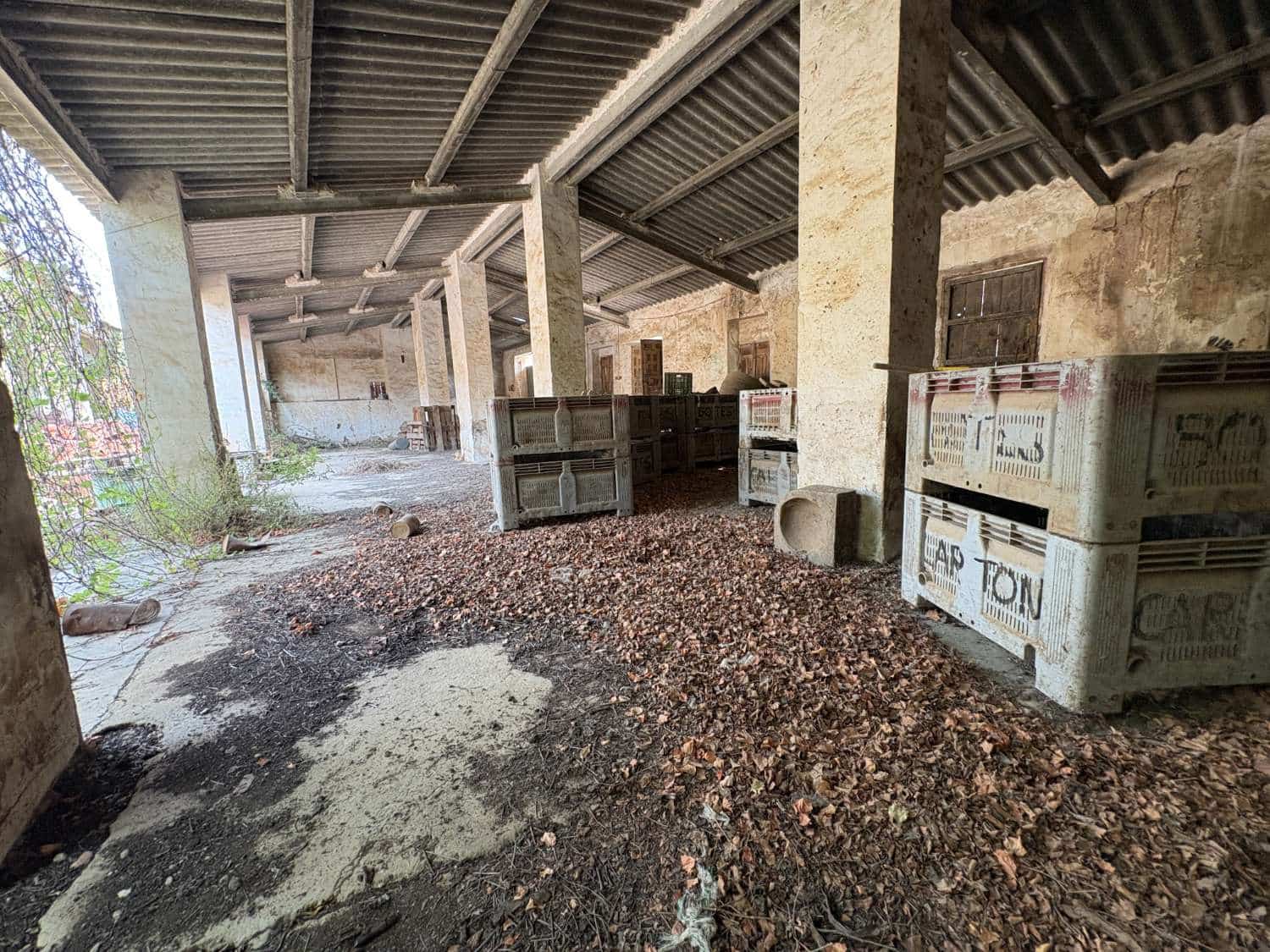 Negocio en Pliego en venta - 80.000 € (Ref: 10026913)
