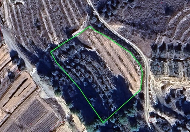 Ubebygd land til salgs i Pliego - € 16 000 (Ref: 9100684)