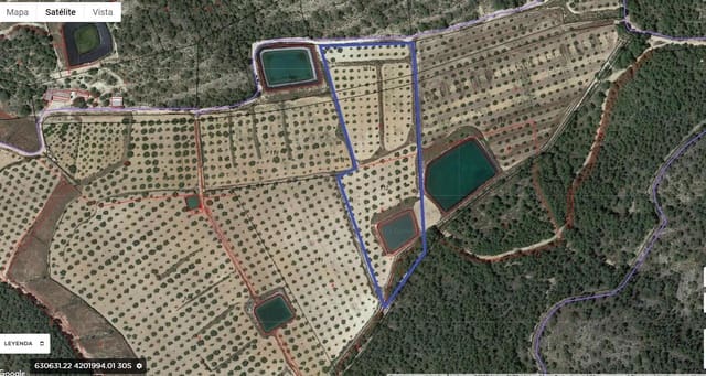 Ubebygd land til salgs i Pliego - € 45 000 (Ref: 9124969)