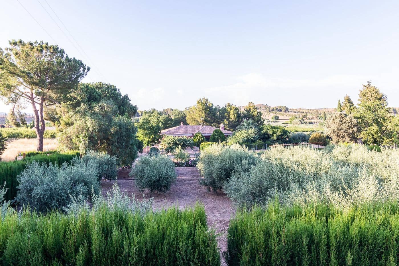 3 soverom Hus til salgs i Cehegin - € 250 000 (Ref: 9144186)