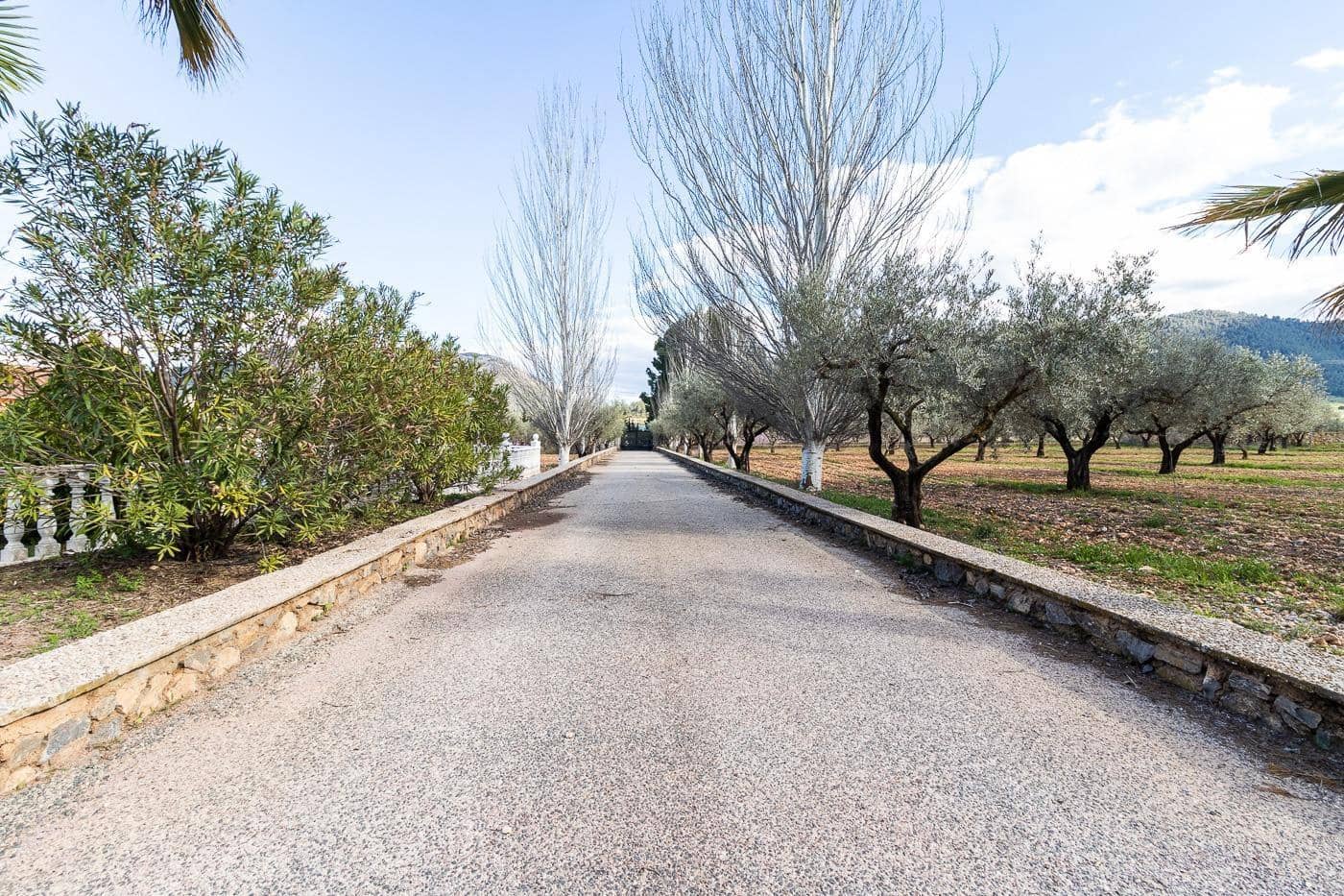 3 soveværelse Villa til salg i Bullas - € 385.000 (Ref: 9169411)