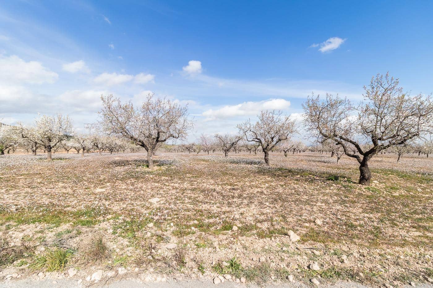 3 makuuhuone Omakotitalo myytävänä paikassa Mula - 175 000 € (Ref: 9256856)