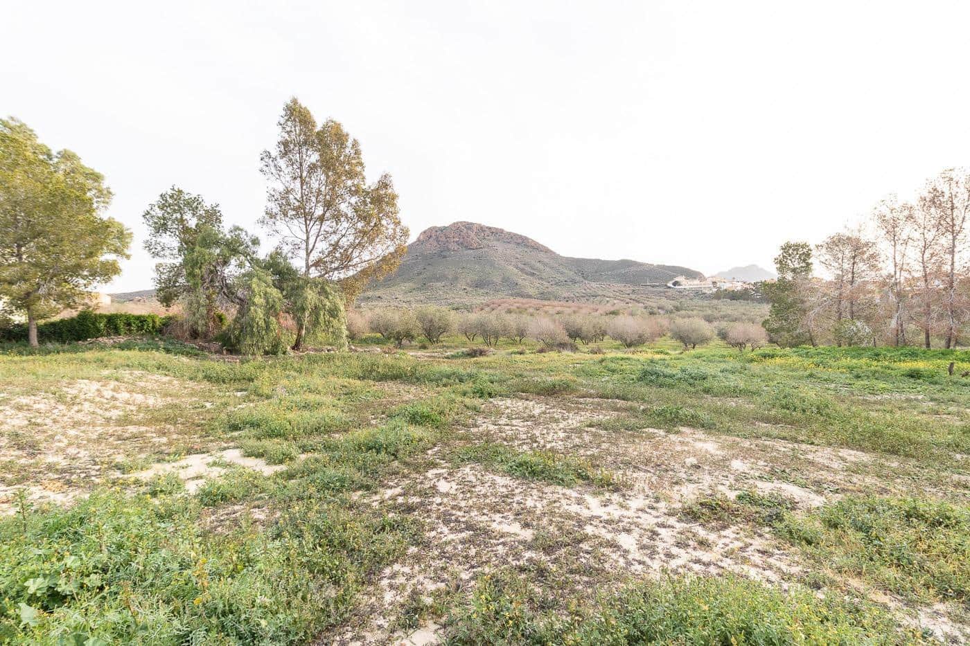 4 Zimmer Villa zu verkaufen in Mazarron - 635.000 € (Ref: 9256857)