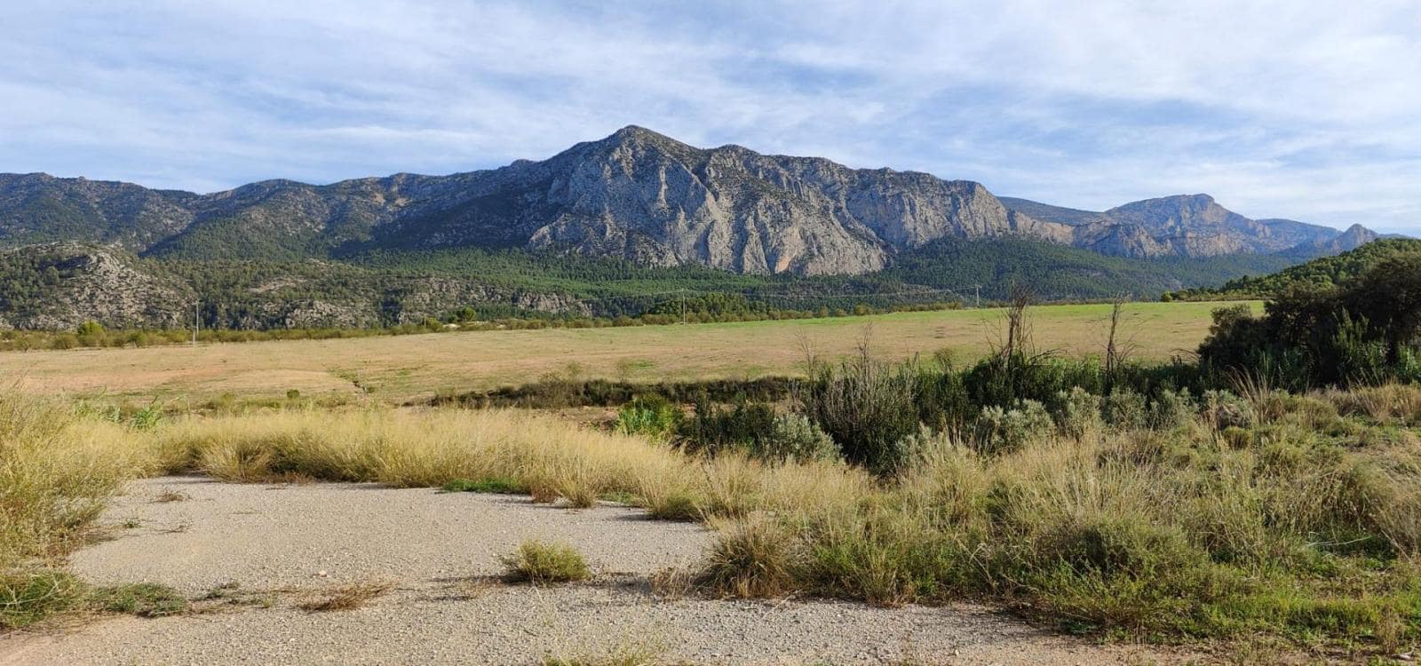 9 slaapkamer Huis te koop in Mula - € 500.000 (Ref: 9256863)