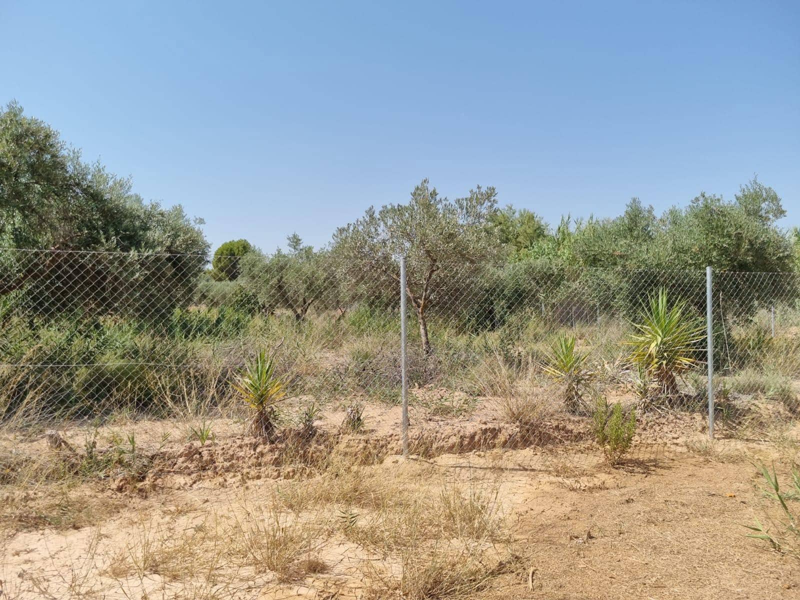 6 soveværelse Villa til salg i Mula - € 197.000 (Ref: 9256864)