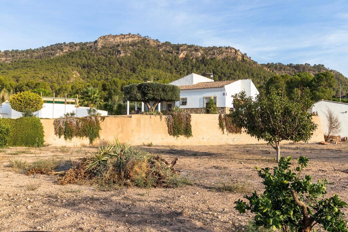 3 sypialnia Dom na sprzedaż w Pliego z basenem - 295 000 € (Ref: 9269247)