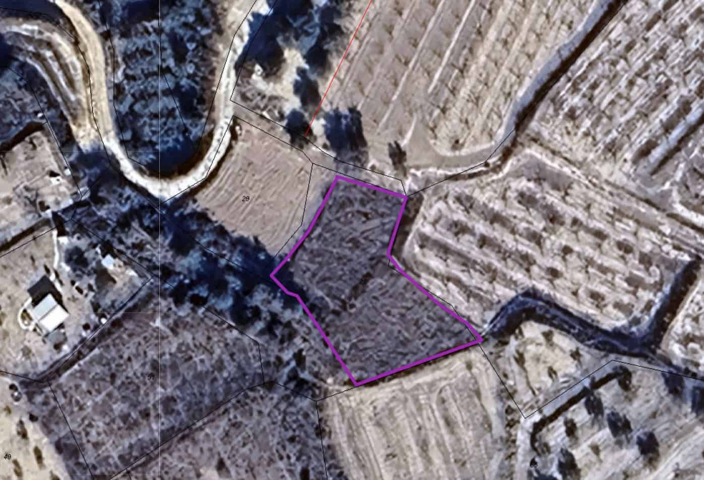 Building Plot for sale in Pliego - € 6,000 (Ref: 9367065)