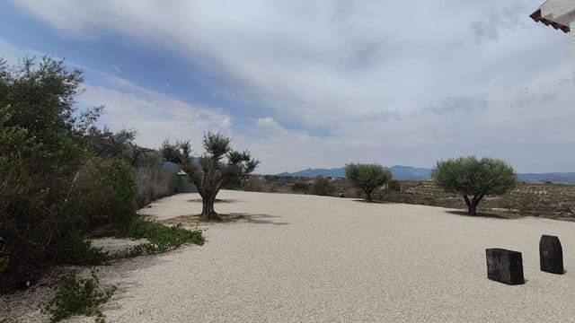 2 Zimmer Finca/Landgut zu verkaufen in Pliego - 147.000 € (Ref: 9453162)