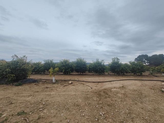 Byggegrund til salg i Pliego - € 60.000 (Ref: 9537249)