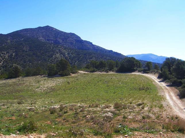 Building Plot for sale in Lorca - € 800,000 (Ref: 9568222)
