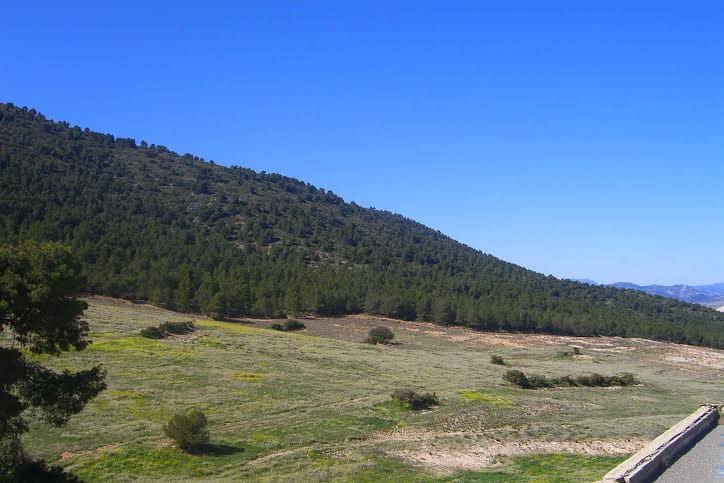 Building Plot for sale in Lorca - € 800,000 (Ref: 9568222)