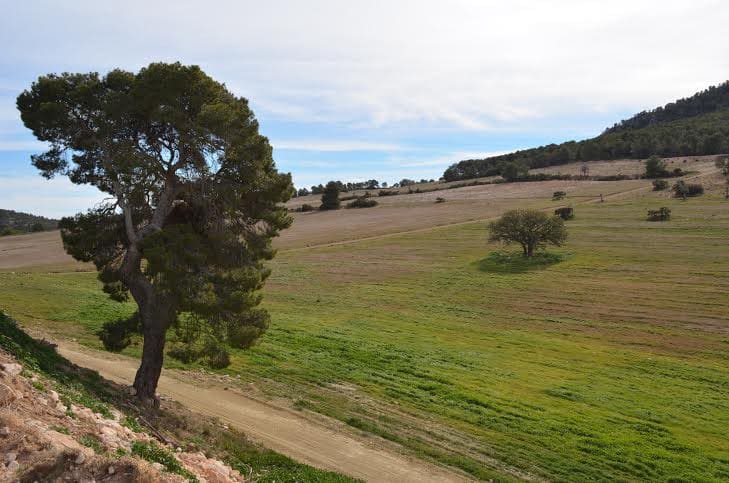Building Plot for sale in Lorca - € 800,000 (Ref: 9568222)