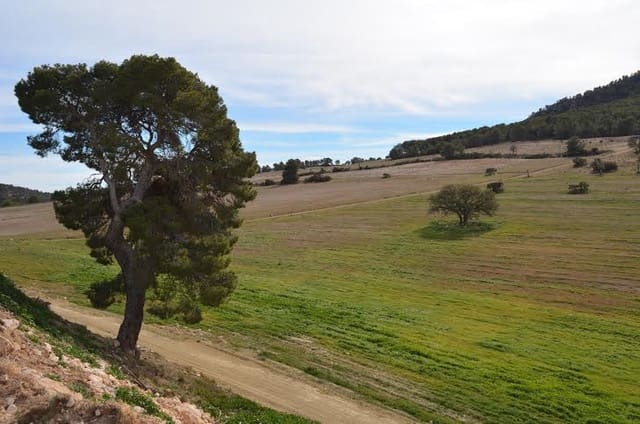 Building Plot for sale in Lorca - € 800,000 (Ref: 9568222)