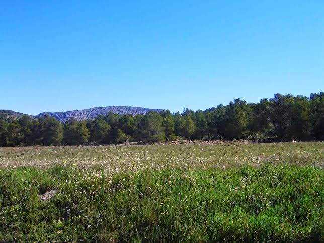 Building Plot for sale in Lorca - € 800,000 (Ref: 9568222)