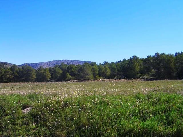 Building Plot for sale in Lorca - € 800,000 (Ref: 9568222)