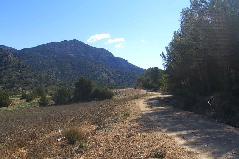 Building Plot for sale in Lorca - € 800,000 (Ref: 9568222)