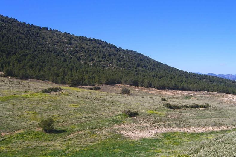 Building Plot for sale in Lorca - € 800,000 (Ref: 9568222)