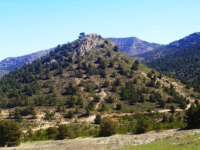 Building Plot for sale in Lorca - € 800,000 (Ref: 9568222)