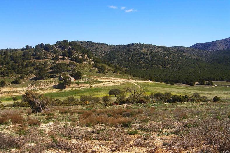 Building Plot for sale in Lorca - € 800,000 (Ref: 9568222)