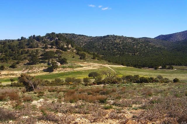 Building Plot for sale in Lorca - € 800,000 (Ref: 9568222)