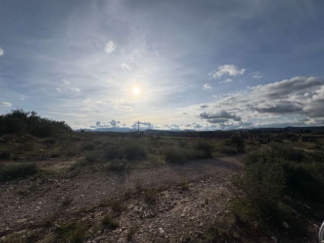 Finca/Country House for sale in Pliego - € 1,300,000 (Ref: 9683407)