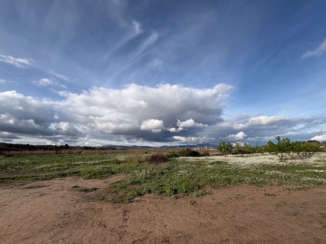 Finca/Country House for sale in Pliego - € 1,300,000 (Ref: 9683407)