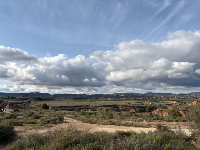 Finca/Country House for sale in Pliego - € 1,300,000 (Ref: 9683407)